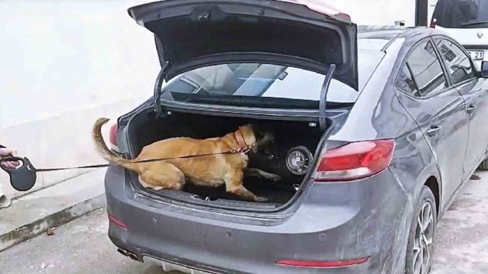 Lpg Tankının İçerisinden Kilolarca Uyuşturucu Çıktı