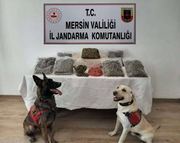 Mikrodalgadan Bile Uyuşturucu Çıktı, 2 Şüpheli Tutuklandı