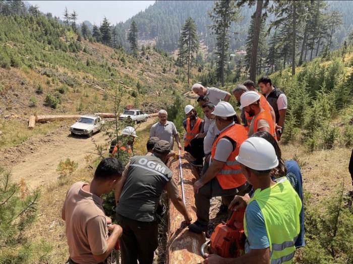 Adana’da Ormandan 2.3 Milyar Tl Gelir Elde Edildi