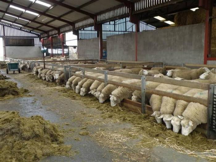 Ahır-ağıl Yapımı Ve Makine-ekipman Alımına Hibe Desteği