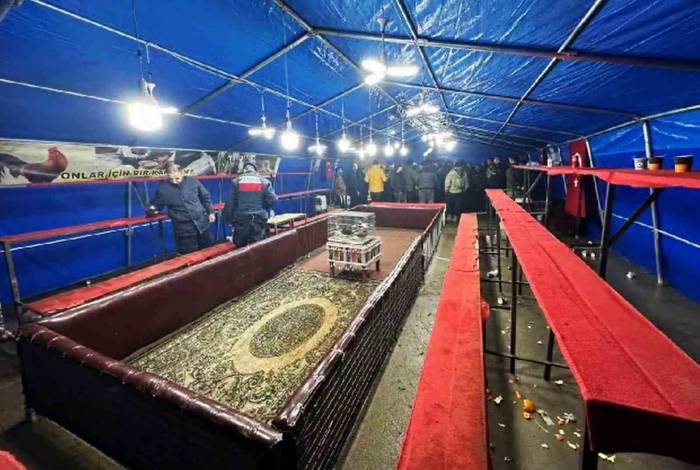 Kümes Hayvanlarını Koruma Derneğine ‘Horoz Dövüşü’ Operasyonu