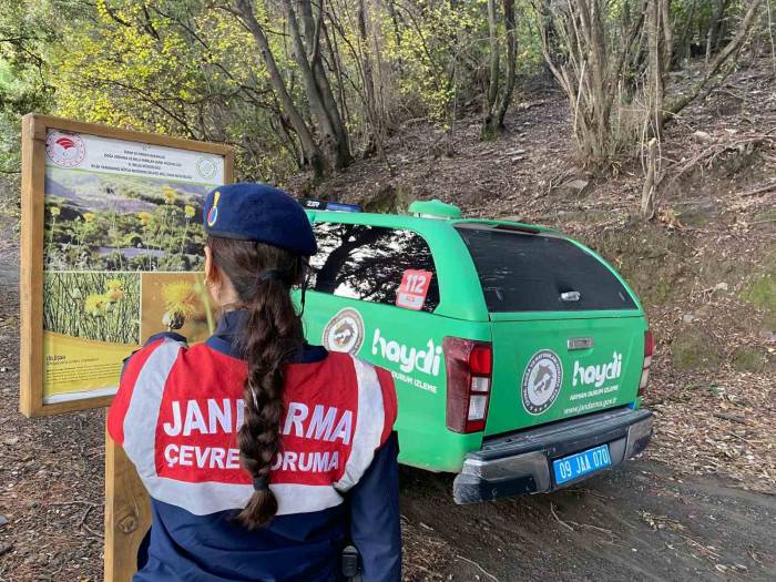 Bu Bitkileri Koparmanın Cezası 245 Bin Tl