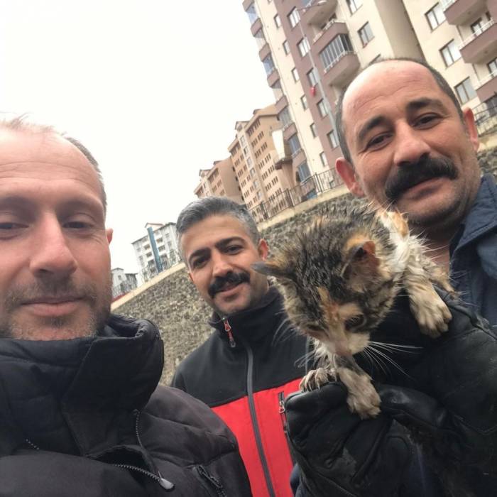 Harşit Çayı’na Düşen Yavru Kediyi İtfaiye Ekipleri Kurtardı