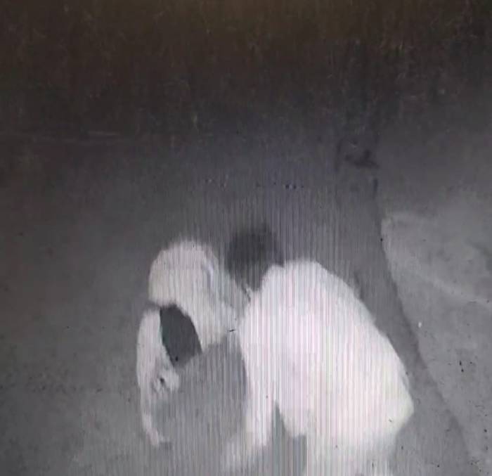 İzmir’deki ‘Laf Atma’ Cinayetinin Görüntüsü Ortaya Çıktı