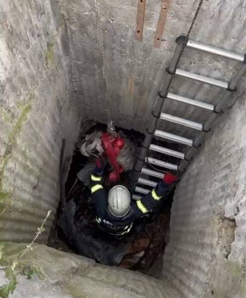 7 Metrelik Kuyuya Düşen Keçi İçin Seferber Oldular