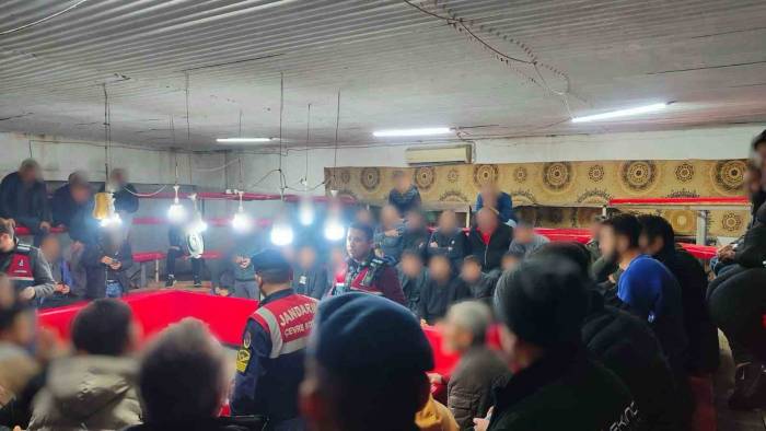 Jandarmadan Horoz Dövüşü Baskını