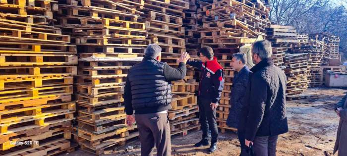 İhracata Konu Olan Ahşap Ambalaj Malzemeleri İle İlgili Denetim