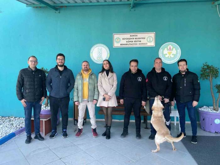 Trüf Mantarını Eğitimli Köpekler Bulacak