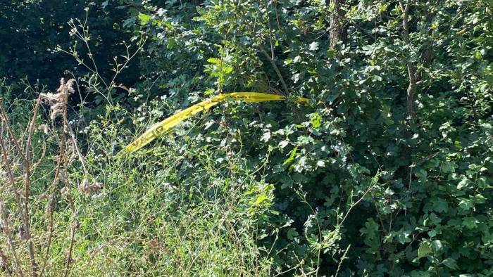 Komşu Cinayetinde "Küfür" İddiası