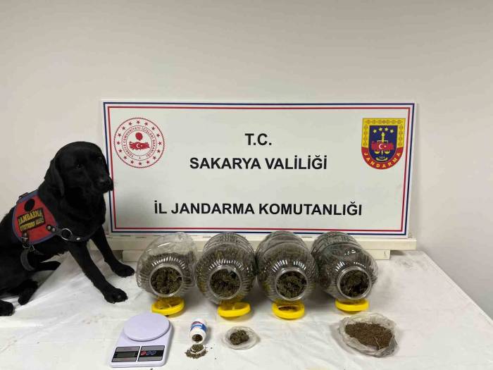 Sakarya’da Jandarma Suça Geçit Vermiyor: 6 Tutuklama