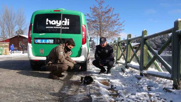 Yozgat’ta Polis Ekipleri Sokak Hayvanlarını Unutmadı