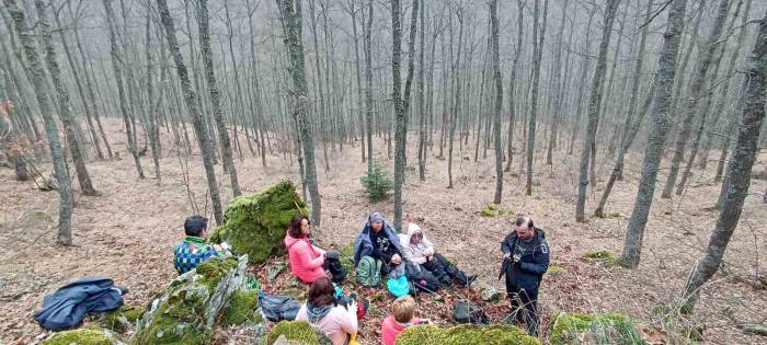 Doğa Tutkunları Karların Erimesi Sonrası Oluşan Manzarayı Fotoğrafladı