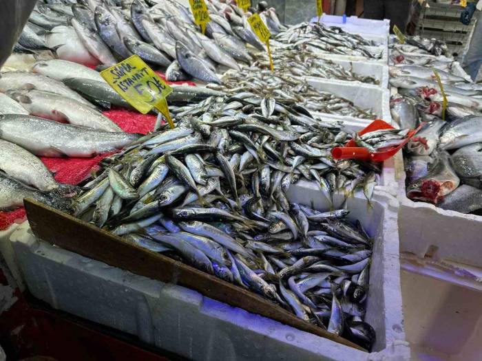 Havalar Soğudu, Balığa Olan İlgi Arttı