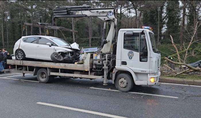 Sarıyer’de Kontrolden Çıkan Otomobil Ağacı Yerinden Söktü