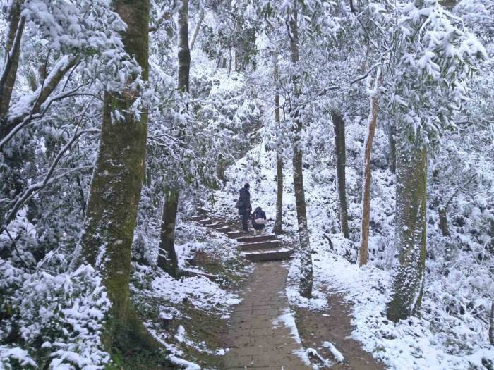 Tayvan’da Soğuk Hava Dalgası: 2 Günde 145 Kişi Öldü