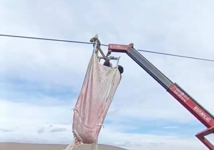 Telefon Direğinde Mahsur Kalan Kediyi Köylüler Kurtardı