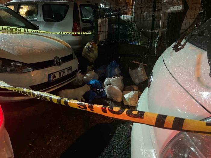 Sarıyer’de Çöp Konteynerinde Yeni Doğmuş Bebek Bulundu