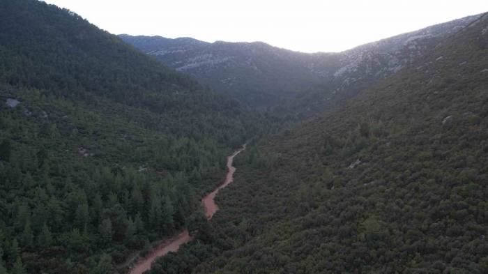 Oyak Çimento, Antalya’daki Üretim Sahasını Yeniden Doğaya Kazandırıyor