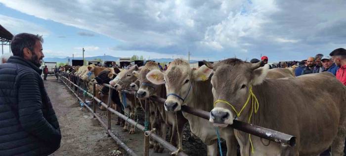 Uzmanı Uyardı, O Hastalık Ağızda Oluşan Lezyonlarla Kendini Gösteriyor