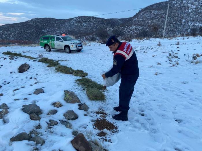Jandarma, Karlı Dağlarda Yaban Ve Sokak Hayvanlarını Yalnız Bırakmıyor
