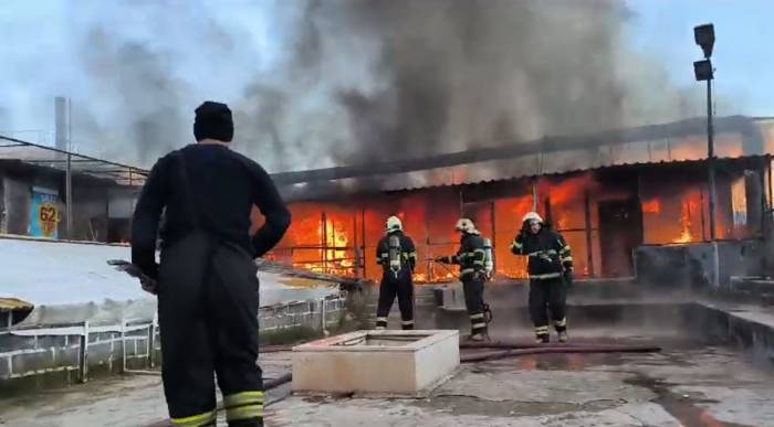 Diyarbakır’da 2 Milyon Tl Değerindeki 600 Güvercin Alevler İçinde Telef Oldu