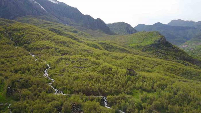 Beytüşşebap İlçesindeki Tarihi Bölge Ve Meşe Ormanlarından Kartpostallık Manzaralar