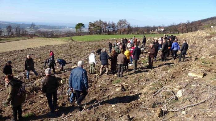 Genç Avukatın Adı Hatıra Ormanında Yaşayacak