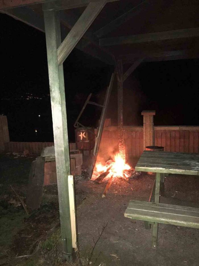 Sosyal Medyada Etkileşim Alabilmek İçin Kamelyayı Ateşe Verdiler