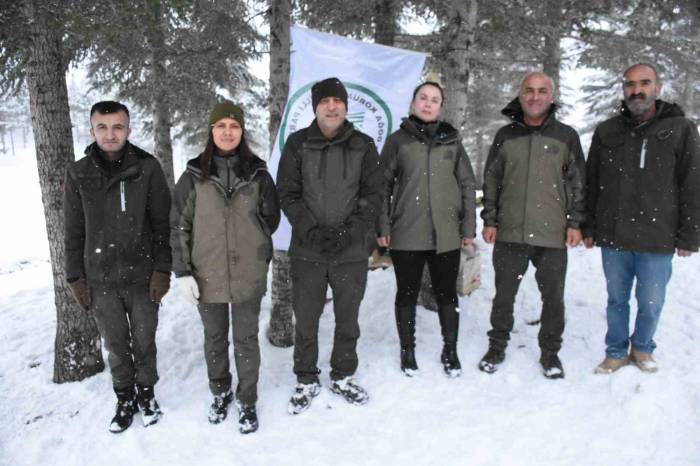 Şırnak’ta Yaban Hayvanları Unutulmadı, Doğaya Yem Bırakıldı