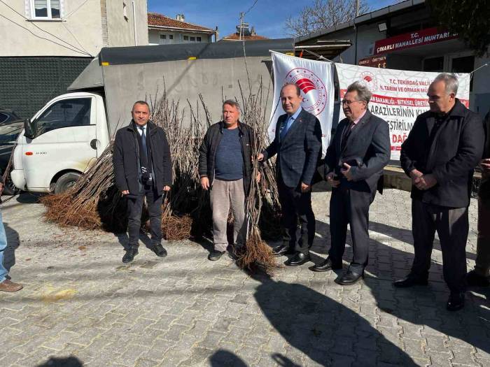 Altıparmak Kiraz Projesi Fidan Dağıtımı Yapıldı