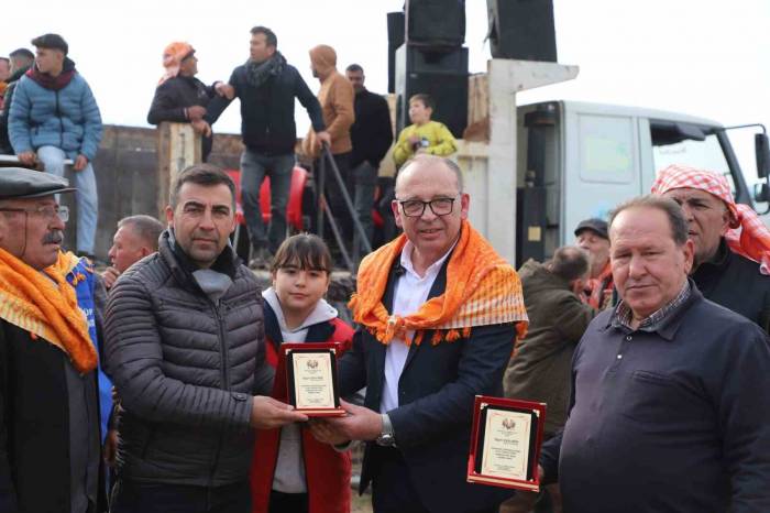 Turgutlu’da Deve Güreşleri Nefes Kesti