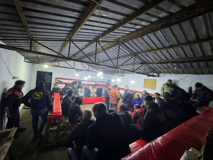 Horoz Dövüşüne Jandarma Baskını