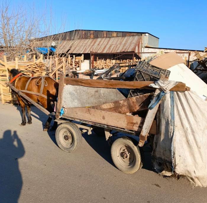 Manisa’da At Arabası Operasyonu: Üç At Arabasına El Konuldu