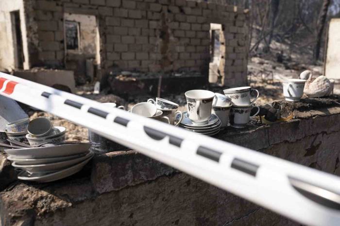 Şili’deki Orman Yangınlarında Can Kaybı 123’e Yükseldi