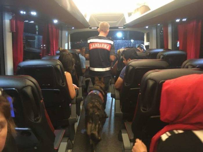 Uyuşturucu İle Seyahate ‘Hassas Burun’ Engeli: 3 Gözaltı