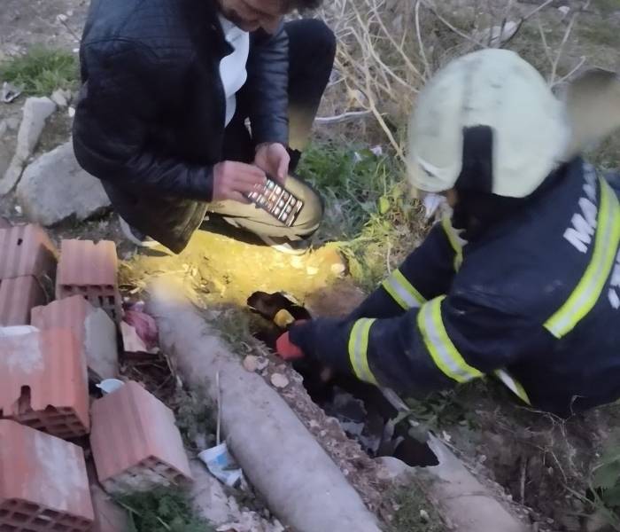 İtfaiye Bir Can Kurtardı