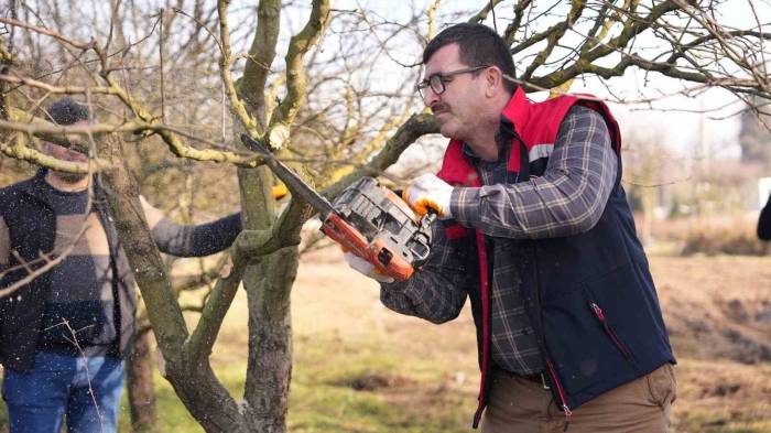 Doğru Budama Teknikleri Uygulamalı Öğretildi