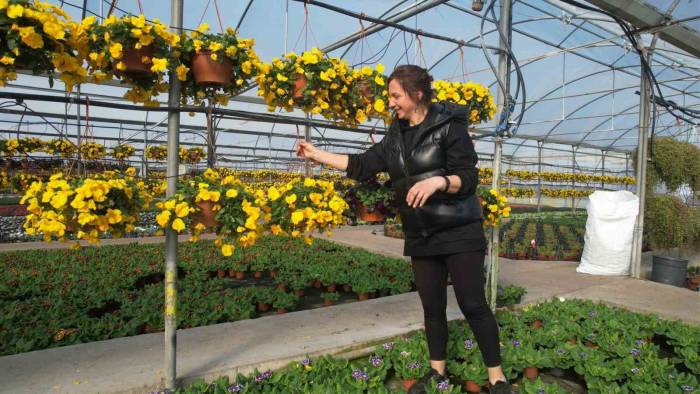 Çiçek Kenti Yalova’da Sevgililer Günü Öncesi Hareketlilik