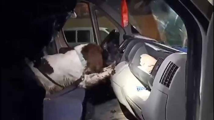 Ev Ve Arabalarında Uyuşturucu Çıkan 6 Zehir Taciri Tutuklandı