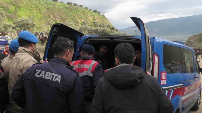 Develer Güreşti, İzleyenler Kavgaya Tutuştu