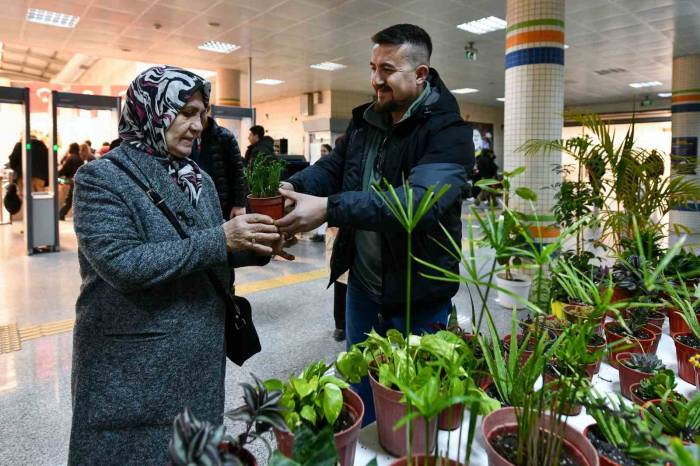 Abb ‘Çiçeğim Takas’ Uygulamasına Yeniden Başladı