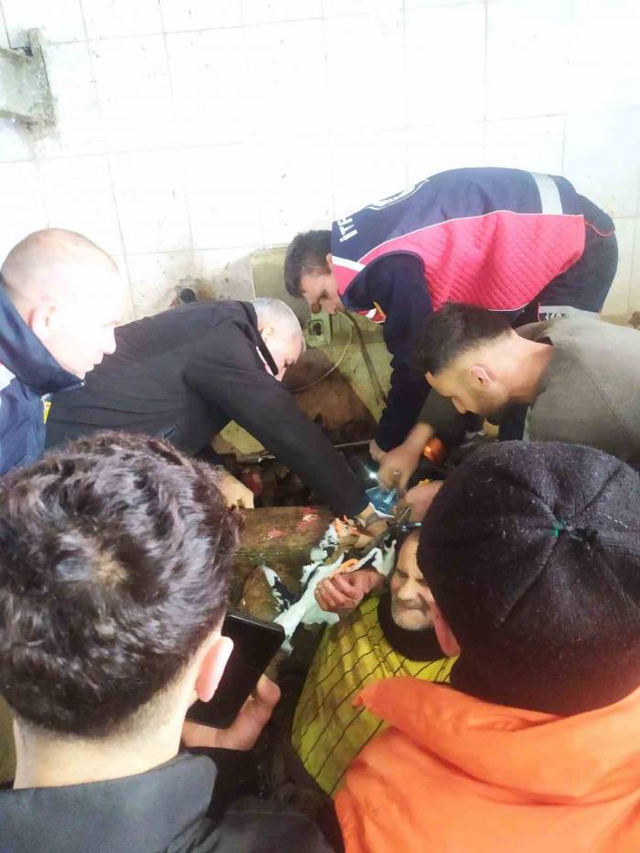 Mezbahada İşçi Kolunu Makineye Kaptırdı