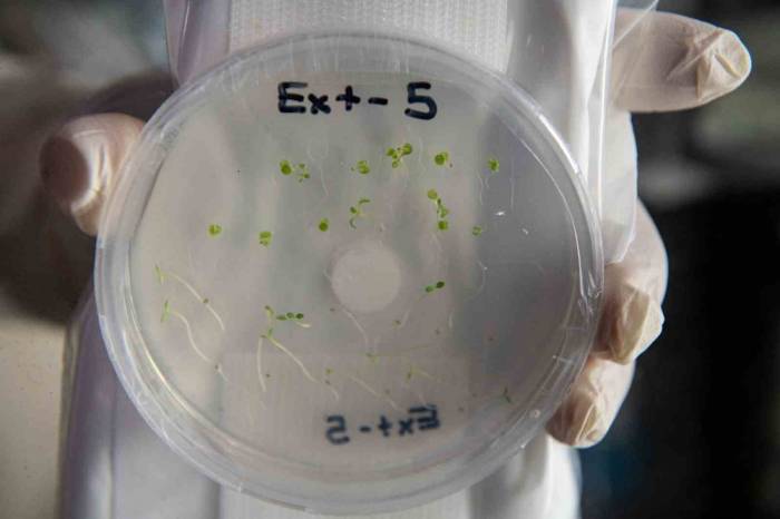 Gezeravcı, Uzayda Deney Yaparken Her Gün Görselleri Egeli Ekip İle Paylaştı