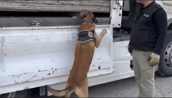 Suntaların İçinde 32 Milyon Tl’lik Uyuşturucu Çıktı