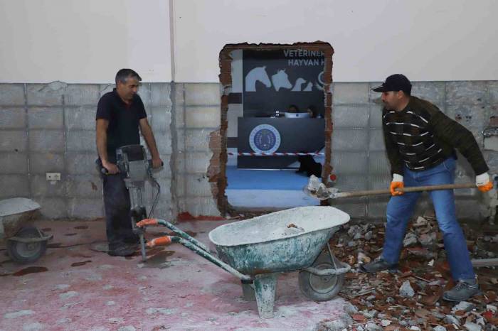 Hayvan Hastanesinde Yapım Onarım Çalışmaları Sürüyor