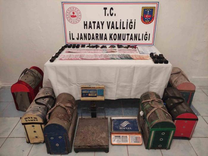 Horoz Dövüşüne 235 Bin Tl Para Cezası