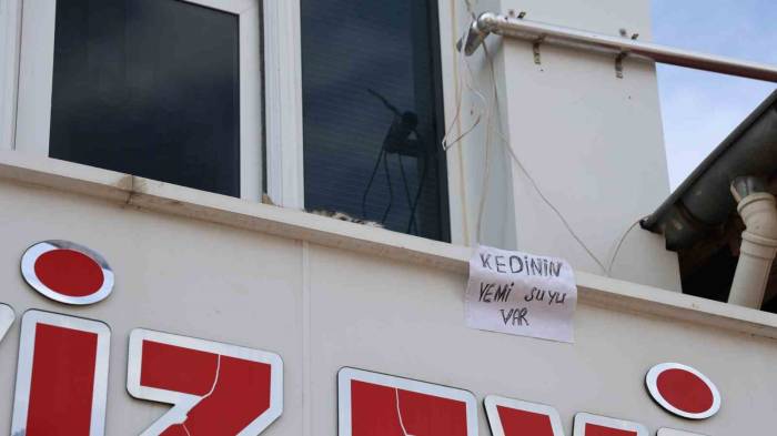 Kedi İçin Balkonuna Ekmek Atanları Yazı Asıp Uyardı: "Kedinin Yemi, Suyu Var"