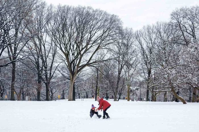 New York’ta Son 2 Yılın En Fazla Kar Yağışı