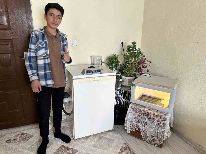 Yatak Odasında Civciv Üretimi