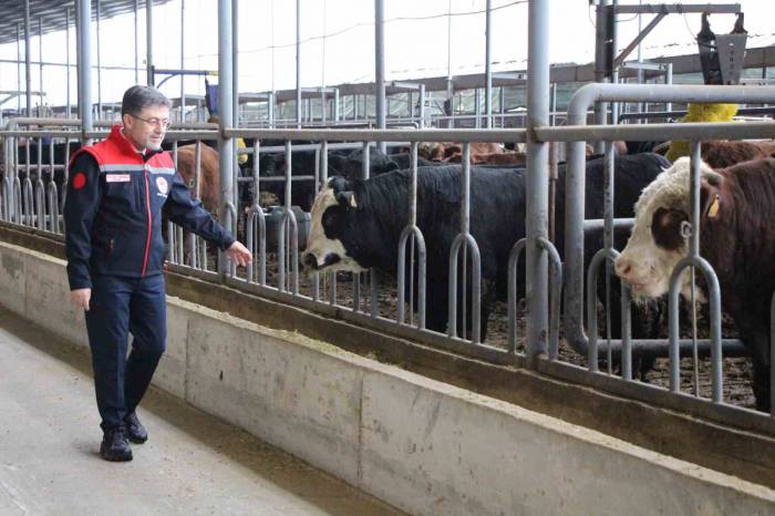 Tarım Ve Orman Bakanı Yumaklı: "31 Milyar Dolara Ulaşan Gıda İhracatını 40 Milyar Dolara Çıkarmanın Gayretindeyiz"